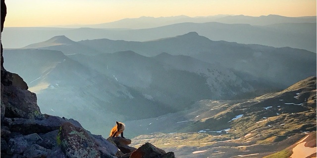 Poshmark banner for @boulder
